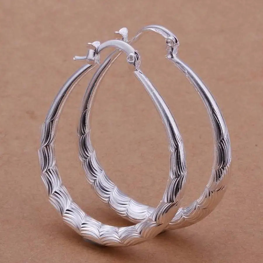 Fashion for women 925 Sterling Silver wedding hook beautiful High quality Earring Jewelry gift