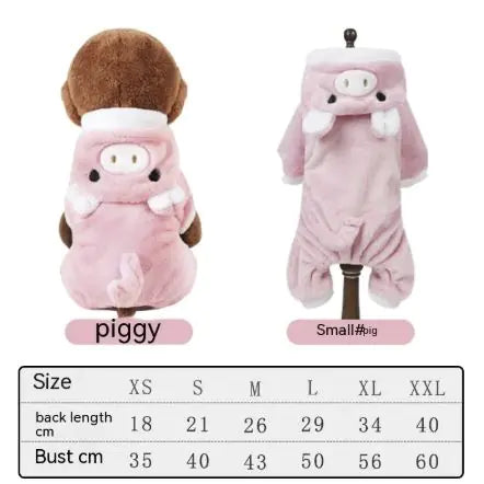 Blue Cat British Shorthair Pet Winter Outfit