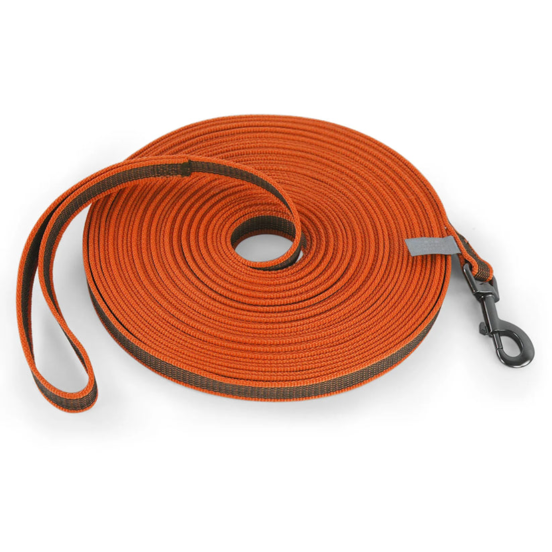 Latex Silk Dog Leash