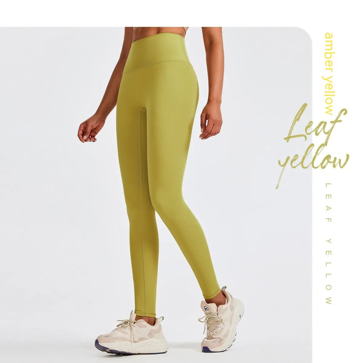 Wear Plus Size Fitness Leggings