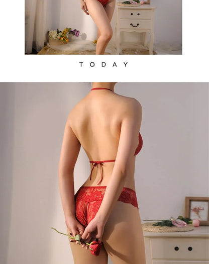 Nylon Sexy Plus Size Lace Ladies Briefs