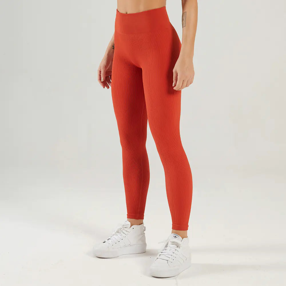 Seamless High-Stretch Sports Bra and Yoga Set