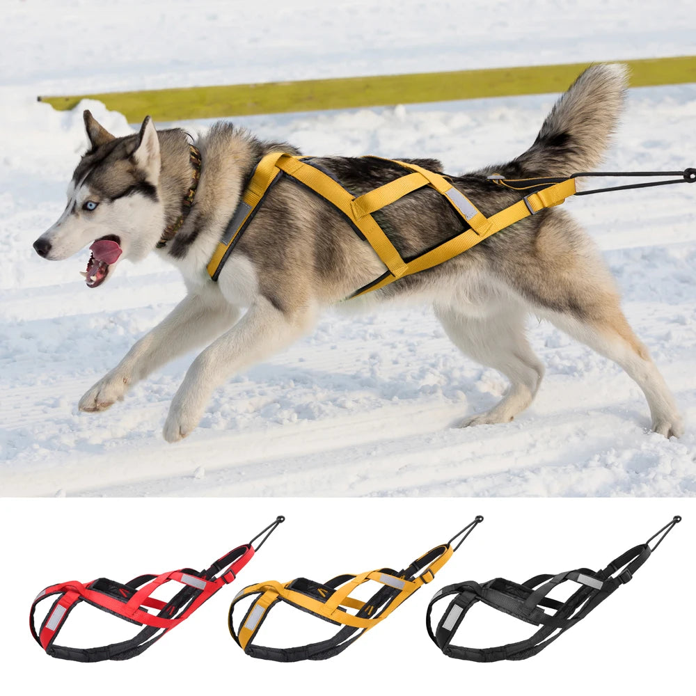 Dog Sled Pet Harness