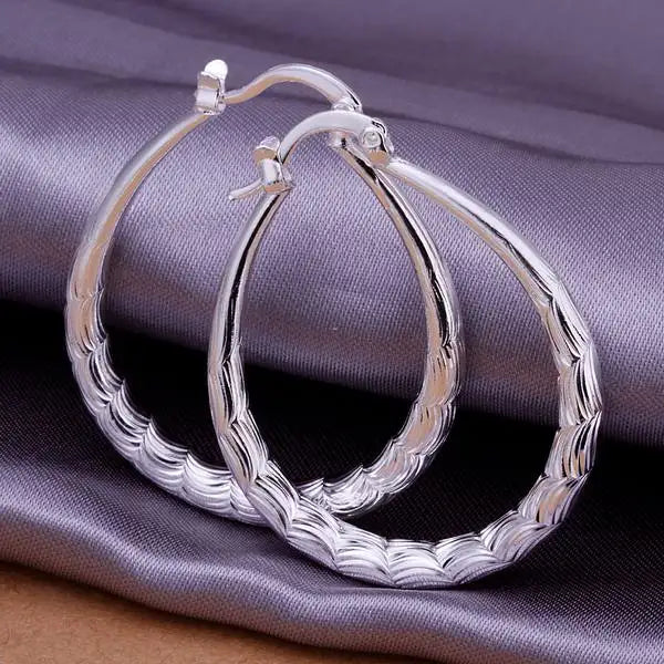 Fashion for women 925 Sterling Silver wedding hook beautiful High quality Earring Jewelry gift