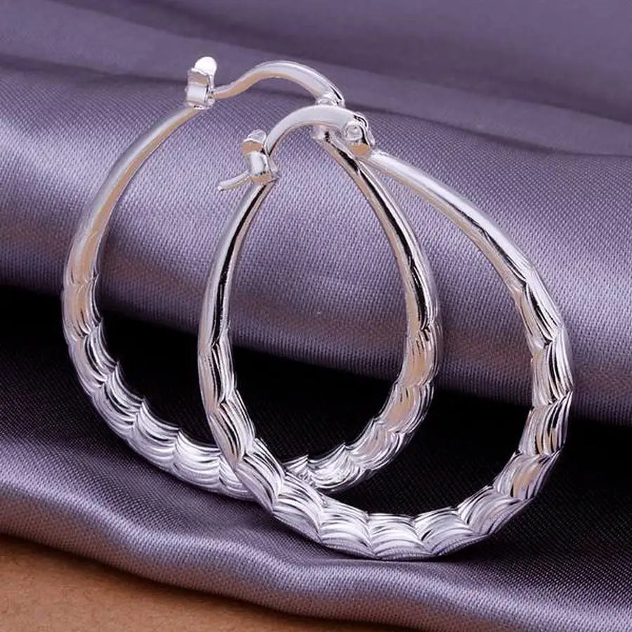 Fashion for women 925 Sterling Silver wedding hook beautiful High quality Earring Jewelry gift