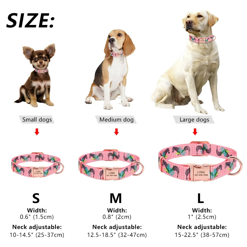 Pet Dog Tag Collar