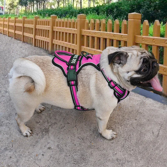 Nylon Dog Harness Vest