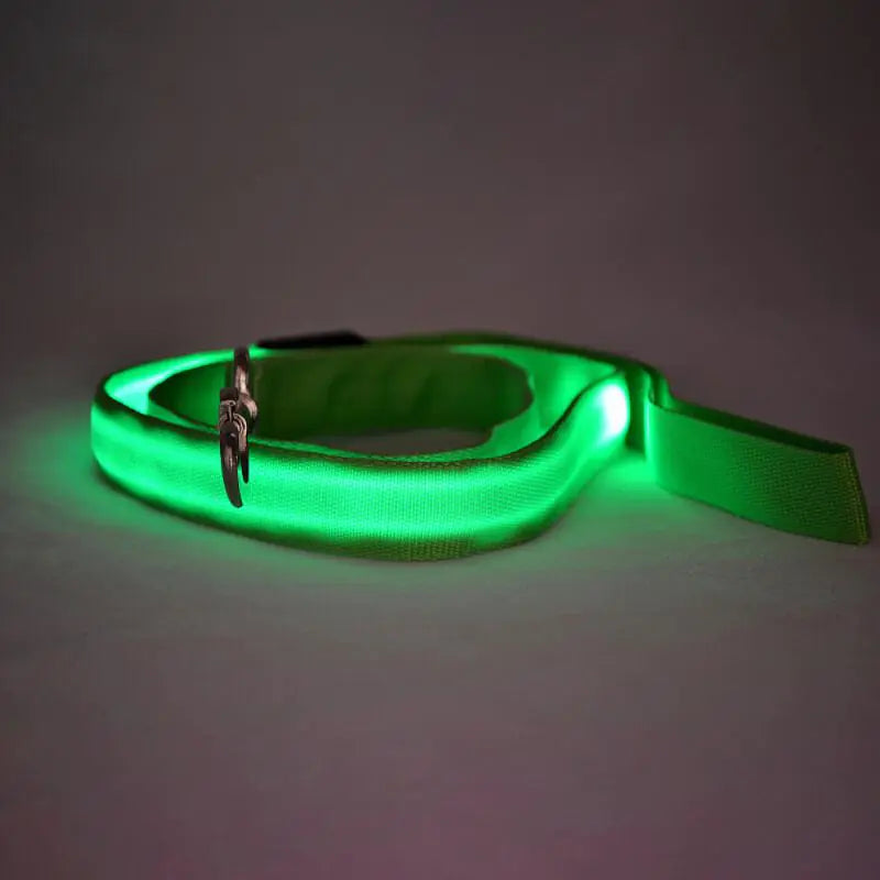 Rechargeable LED Pet Leash