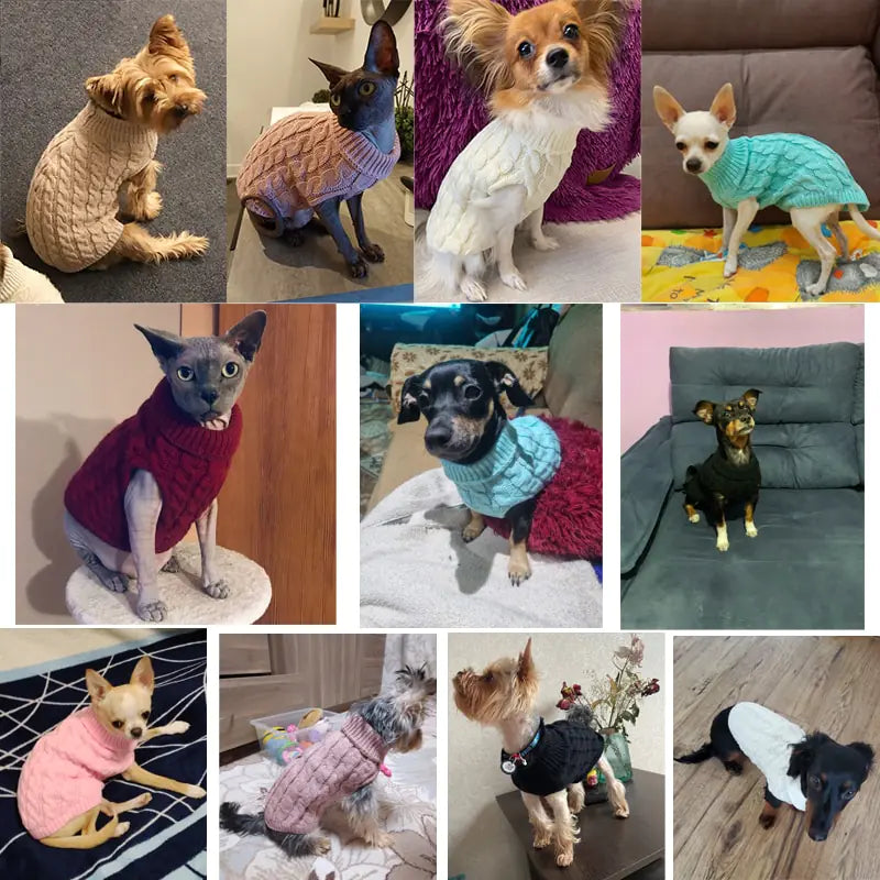 Turtleneck Knitted Pet Clothing