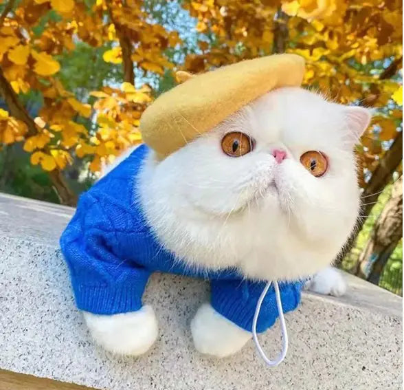 Pet Winter Wool Cap