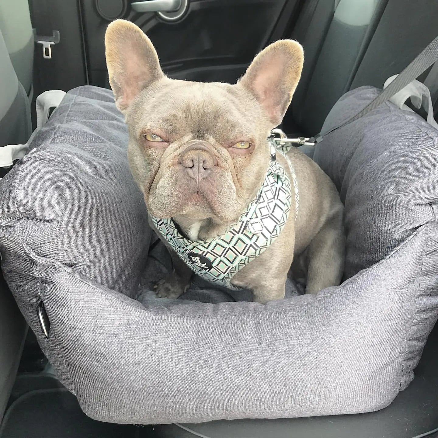 Pet Travel Bed