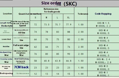 Sexy Deep V Mesh Swimsuit