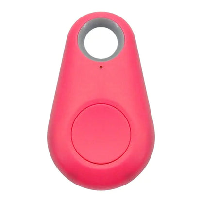 Pet Smart GPS Tracker